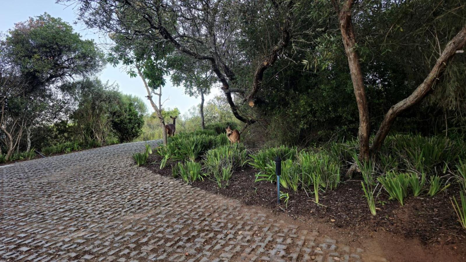 Oubaai Villa By Raw Africa Collection Herolds Bay Exterior photo